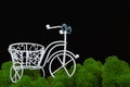 Image of bicycle moss dark background