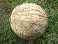 The clew of flax fiber Royalty Free Stock Photo