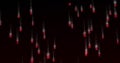 Image of binary coding data processing over black background Royalty Free Stock Photo