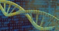 Image of binary coding data processing over dna strand spinning Royalty Free Stock Photo