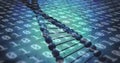 Image of binary coding data processing over dna strand spinning Royalty Free Stock Photo