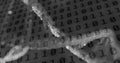 Image of binary coding data processing over dna strand spinning Royalty Free Stock Photo