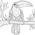 Adult coloring page,book a bird image for relaxing.