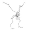 Image of bird skeleton Royalty Free Stock Photo