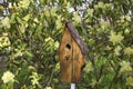 An image of a birdhouse against a blossoming bush.