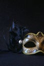 Image of black elegant venetian mask on glitter background Royalty Free Stock Photo