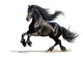 Image of black horse running on white background. Wildlife Animals. Mammals Royalty Free Stock Photo