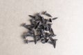 Image of black metal screw pile on the gray background. wood screws made of steel. Group of new strong black screws. Royalty Free Stock Photo