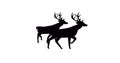 Image of black silhouette of two reindeer walking on white background Royalty Free Stock Photo