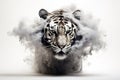 Image of black smoke tiger on white background. Mammals. Wildlife Animals Royalty Free Stock Photo