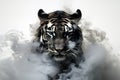 Image of black smoke tiger on white background. Mammals. Wildlife Animals Royalty Free Stock Photo