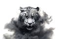 Image of black smoke tiger on white background. Mammals. Wildlife Animals Royalty Free Stock Photo