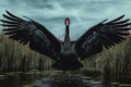 Image of black swan spreads its wings gracefully in a meadow in a marshy forest. Wildlife Animals. Illustration, Generative AI Royalty Free Stock Photo