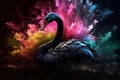 Image of black swan with variety of beautiful colors. Birds. Poultry, Wildlife Animals Royalty Free Stock Photo