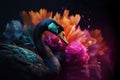 Image of black swan with variety of beautiful colors. Birds. Poultry, Wildlife Animals