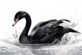 Image of a black swan on white background. Wildlife Animals. Illustration. Generative AI Royalty Free Stock Photo