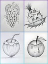 This image is a black-and-white pencil drawing divided into four quadrants, each featuring a different fruit Royalty Free Stock Photo