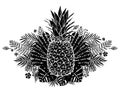Image of black and white pineapple fruit lettering exotic on background. Vector illustration, design element for