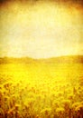Image of blooming field over vintage paper Royalty Free Stock Photo