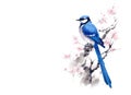 Image of a blue Jay perched on a branch and a beautiful flower. Birds. Wildlife Animals. Illustration, generative AI