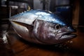 Image of bluefin tuna fish. Food., Undersea animals