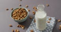 Image of bottle of milk and bowl of almonds on grey background