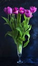 Bouquet of purple tulips with vivid flowers in a glass wineglass on a black background. Royalty Free Stock Photo