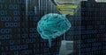 Image of brain, binary coding and data processing over computer servers Royalty Free Stock Photo