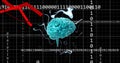 Image of brain, binary coding and digital data processing over black background Royalty Free Stock Photo