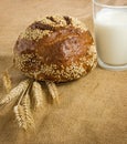 Image of bread, wheat and milk closeup Royalty Free Stock Photo