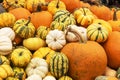 Image of bright orange, yellow, stripped, white pumpkins lay in heap outside in market Royalty Free Stock Photo