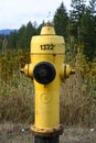 Bright Yellow Fire Hydrant Close Up Royalty Free Stock Photo