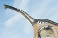 Portrait of a brontosaurus over blu sky