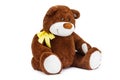 Image of brown toy teddy bear sitting at white isolated background Royalty Free Stock Photo