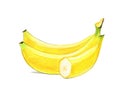 Image of a bunch of bananas. Drawing with colored pencils, isolated on white background