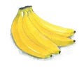 Image of a bunch of bananas. Figure gouache, isolated on white background