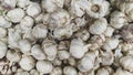 An image of bunch of garlic with white color. Underexpose image Royalty Free Stock Photo