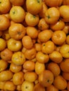 bundle of the mini china honey mandarin orange.
