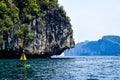 A buoy in front of a rock with vegetation