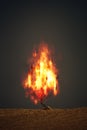 burning thorn bush christian symbol Royalty Free Stock Photo