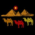 Image of a camel on a background of the pyramids