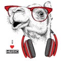 The image of the camel in the glasses, headphones and in hip-hop hat. Vector illustration.