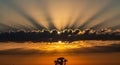 Dramatic Crepuscular Rays Emanating from Behind Dark Clouds at Sunset with Silhouette Tree Royalty Free Stock Photo