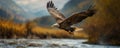 Eagle hovering over water in a scenic river valley Royalty Free Stock Photo