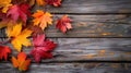 Rustic Autumn: Maple Leaves on Wood Background Royalty Free Stock Photo