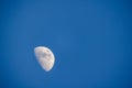 First Quarter Moon in Daylight Sky Royalty Free Stock Photo