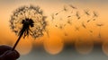The image captures a hand holding a dandelion, its seeds drifting away in the wind, under the soft illumination of a Royalty Free Stock Photo