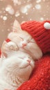 Two fluffy white kittens snuggle in a cozy red sweater, surrounded by soft bokeh lights, AI Royalty Free Stock Photo