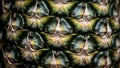 Abstract botanical texture of pineapple skin with geometric patterns detail close up shot Royalty Free Stock Photo