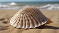 Nature\'s Masterpiece: A Detailed Look at a Fanshell by the Sea Royalty Free Stock Photo